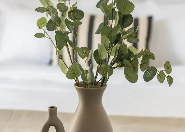 Oval Elegant By Binobi! Soluň