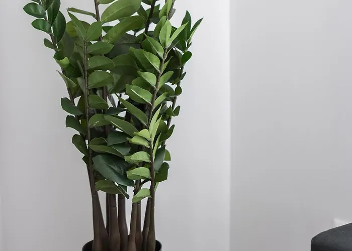 Appartement Oval Elegant By Binobi! *